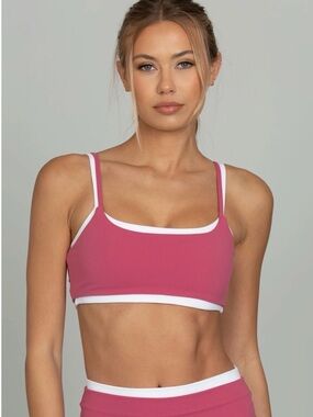 GOLD HINGE RASPBERRY DOUBLE LAYER STRYDEFORM BRA